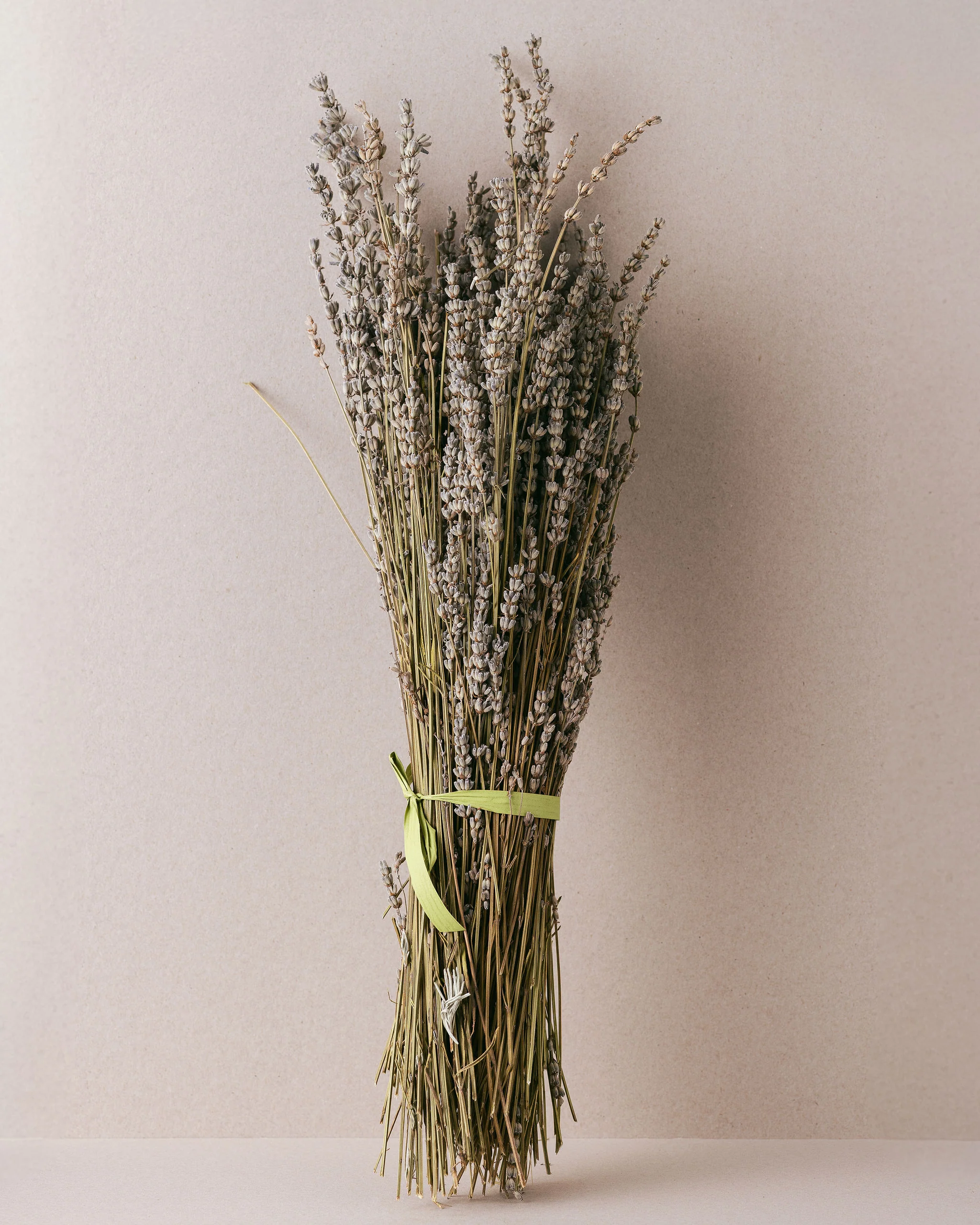 Dried Lavender Bunch